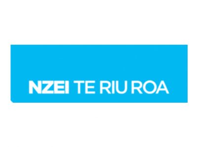 nzei-400×299